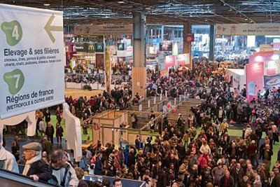 賦能品牌，引爆流量 展會(huì)宣傳片高效策劃全攻略與專(zhuān)業(yè)服務(wù)咨詢(xún)