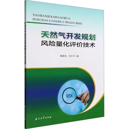 天然氣開發(fā)規(guī)劃風險量化評價技術 陸家亮,孫玉平 著 工業(yè)技術其它專業(yè)