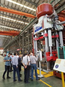 海源耐火材料液壓機(jī)順利通過中東兩大不同客戶廠內(nèi)驗收