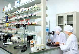 上?；瘖y品加工專業技術服務